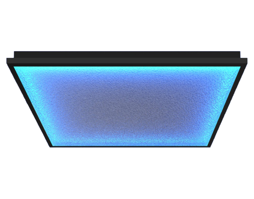 WS-DL08