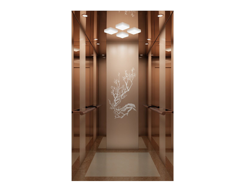 WS-V05